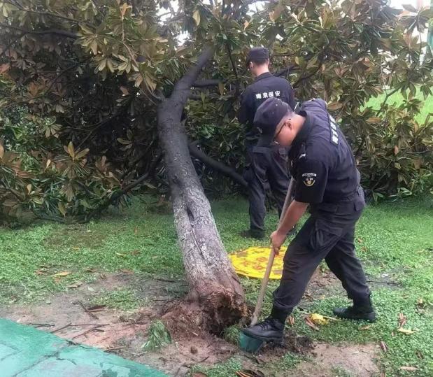 C:/Users/BA/Desktop/風(fēng)雨過后南京保安迅速行動(dòng)，恢復(fù)安“寧”面貌/10.jpg10